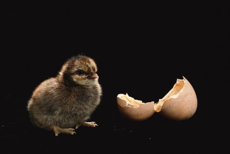 ������ 2 ����!